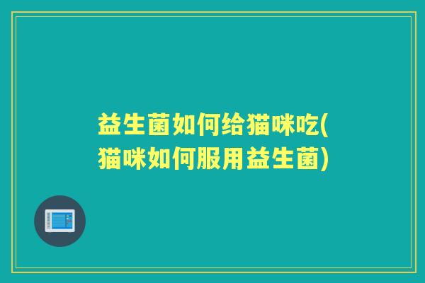 益生菌如何给猫咪吃(猫咪如何服用益生菌)
