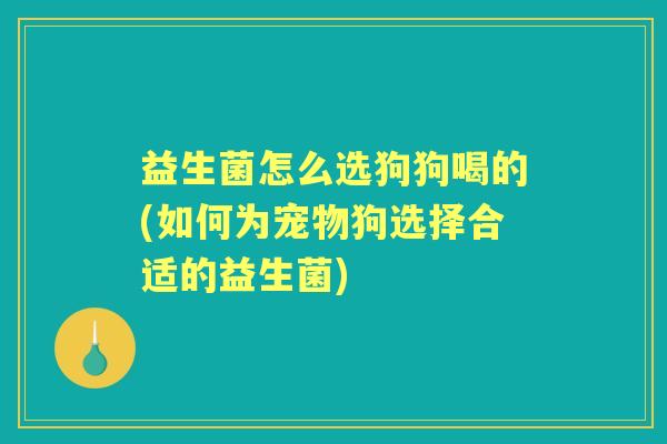 益生菌怎么选狗狗喝的(如何为宠物狗选择合适的益生菌) 益生菌怎么选狗狗喝的(如何为宠物狗选择合适的益生菌)