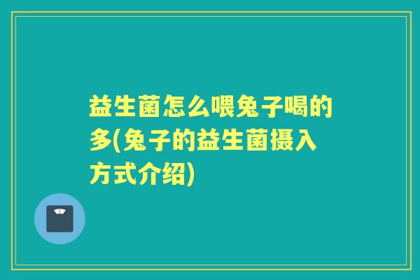 益生菌怎么喂兔子喝的多(兔子的益生菌摄入方式介绍) 益生菌怎么喂兔子喝的多(兔子的益生菌摄入方式介绍)