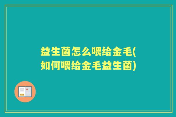 益生菌怎么喂给金毛(如何喂给金毛益生菌) 益生菌怎么喂给金毛(如何喂给金毛益生菌)