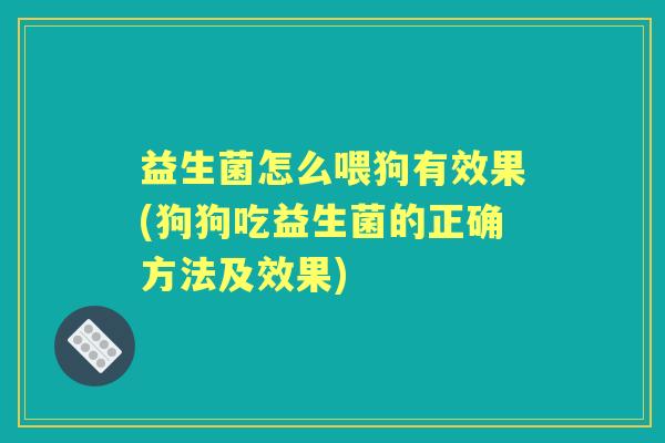 益生菌怎么喂狗有效果(狗狗吃益生菌的正确方法及效果)