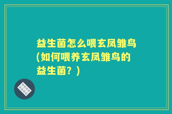 益生菌怎么喂玄凤雏鸟(如何喂养玄凤雏鸟的益生菌?) 益生菌怎么喂玄凤雏鸟(如何喂养玄凤雏鸟的益生菌?)