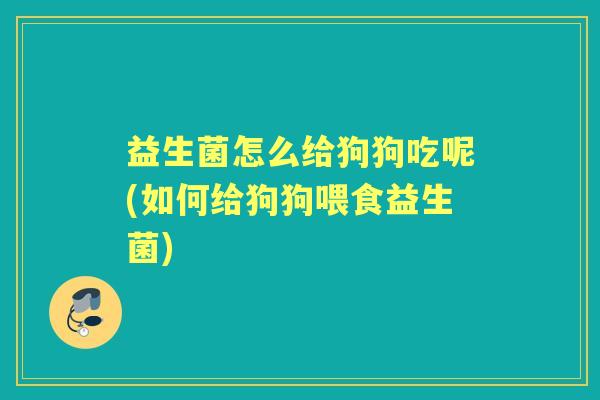 益生菌怎么给狗狗吃呢(如何给狗狗喂食益生菌) 益生菌怎么给狗狗吃呢(如何给狗狗喂食益生菌)