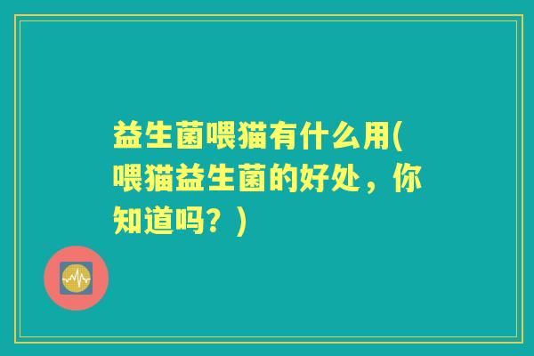 益生菌喂猫有什么用(喂猫益生菌的好处，你知道吗？)
