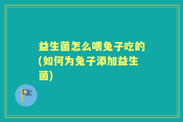 益生菌怎么喂兔子吃的(如何为兔子添加益生菌) 益生菌怎么喂兔子吃的(如何为兔子添加益生菌)