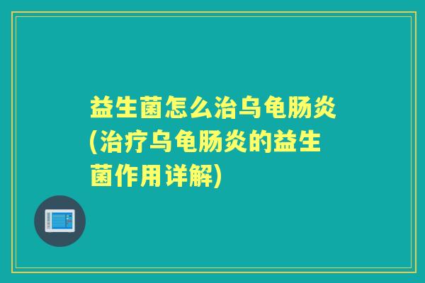 益生菌怎么乌龟(乌龟的益生菌作用详解)