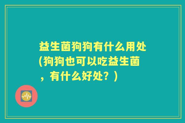 益生菌狗狗有什么用处(狗狗也可以吃益生菌，有什么好处？)