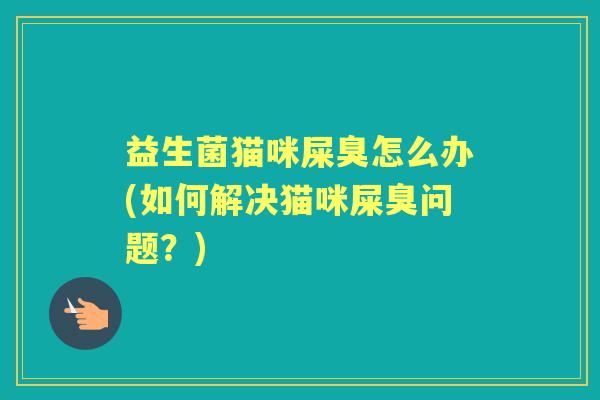 益生菌猫咪屎臭怎么办(如何解决猫咪屎臭问题?) 益生菌猫咪屎臭怎么办(如何解决猫咪屎臭问题?)