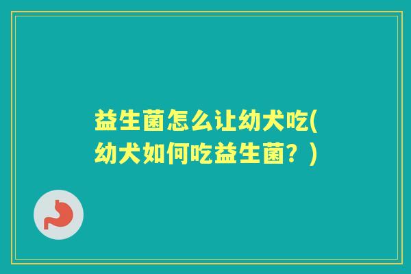 益生菌怎么让幼犬吃(幼犬如何吃益生菌？)