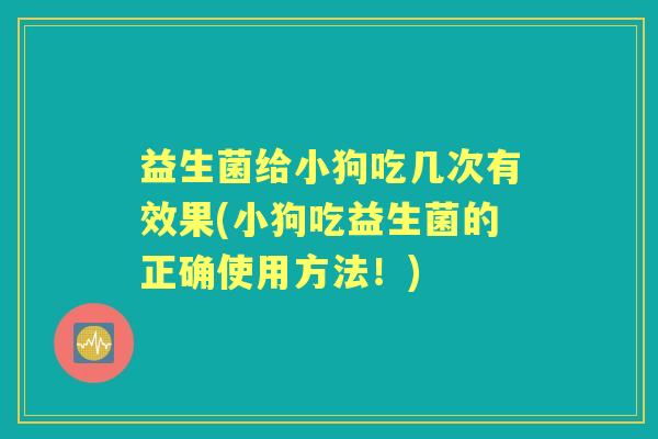 益生菌给小狗吃几次有效果(小狗吃益生菌的正确使用方法！)