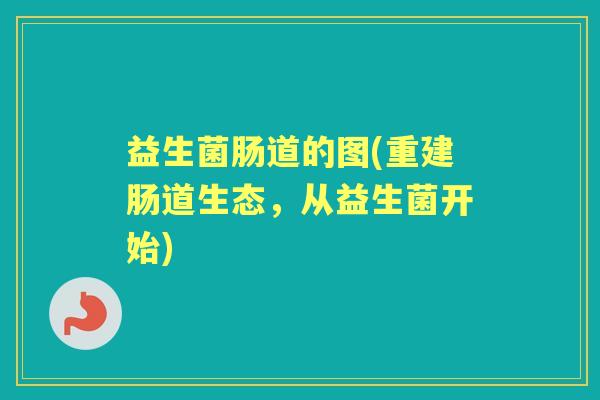益生菌肠道的图(重建肠道生态,从益生菌开始) 益生菌肠道的图(重建肠道生态,从益生菌开始)