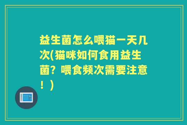 益生菌怎么喂猫一天几次(猫咪如何食用益生菌？喂食频次需要注意！)