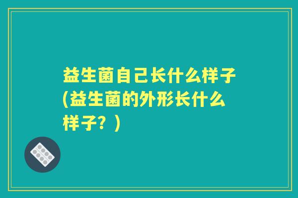 益生菌自己长什么样子(益生菌的外形长什么样子?) 益生菌自己长什么样子(益生菌的外形长什么样子?)