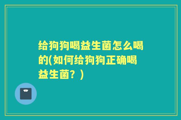 给狗狗喝益生菌怎么喝的(如何给狗狗正确喝益生菌?) 给狗狗喝益生菌怎么喝的(如何给狗狗正确喝益生菌?)