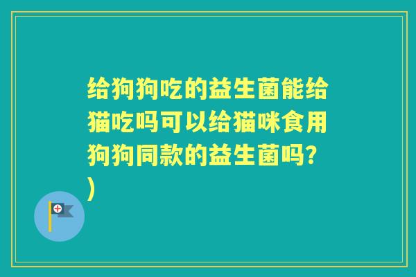 给狗狗吃的益生菌能给猫吃吗可以给猫咪食用狗狗同款的益生菌吗?) 给狗狗吃的益生菌能给猫吃吗可以给猫咪食用狗狗同款的益生菌吗?)