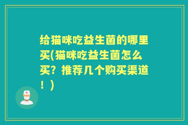 给猫咪吃益生菌的哪里买(猫咪吃益生菌怎么买？推荐几个购买渠道！)