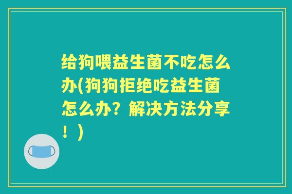 给狗喂益生菌不吃怎么办(狗狗拒绝吃益生菌怎么办?解决方法分享!) 给狗喂益生菌不吃怎么办(狗狗拒绝吃益生菌怎么办?解决方法分享!)