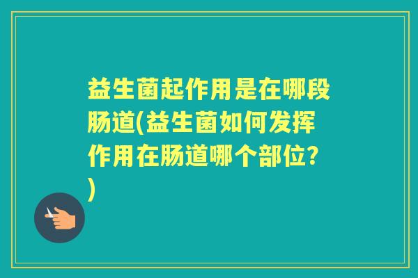 益生菌起作用是在哪段肠道(益生菌如何发挥作用在肠道哪个部位?) 益生菌起作用是在哪段肠道(益生菌如何发挥作用在肠道哪个部位?)
