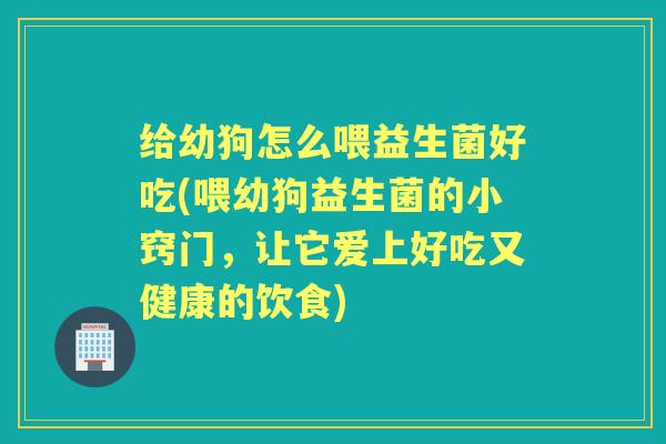 给幼狗怎么喂益生菌好吃(喂幼狗益生菌的小窍门,让它爱上好吃又健康的饮食) 给幼狗怎么喂益生菌好吃(喂幼狗益生菌的小窍门,让它爱上好吃又健康的饮食)
