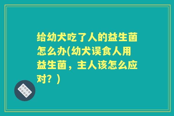 给幼犬吃了人的益生菌怎么办(幼犬误食人用益生菌,主人该怎么应对?) 给幼犬吃了人的益生菌怎么办(幼犬误食人用益生菌,主人该怎么应对?)