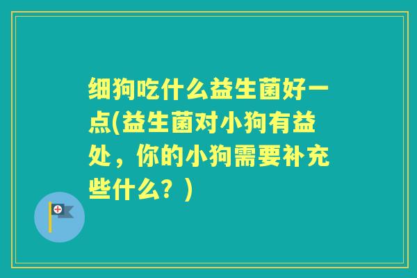 细狗吃什么益生菌好一点(益生菌对小狗有益处,你的小狗需要补充些什么?) 细狗吃什么益生菌好一点(益生菌对小狗有益处,你的小狗需要补充些什么?)