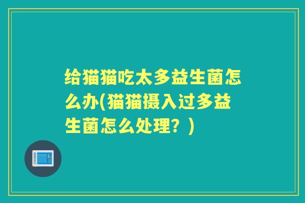 给猫猫吃太多益生菌怎么办(猫猫摄入过多益生菌怎么处理？)