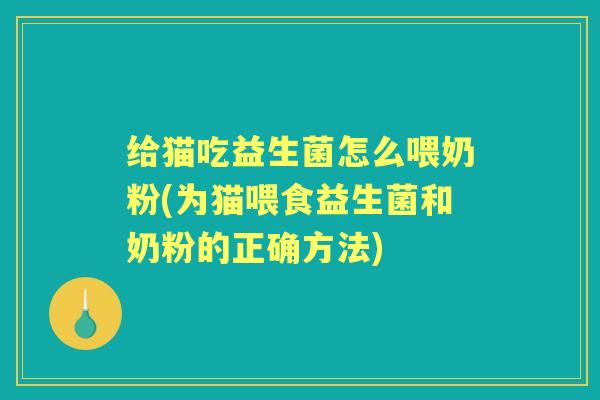 给猫吃益生菌怎么喂奶粉(为猫喂食益生菌和奶粉的正确方法)