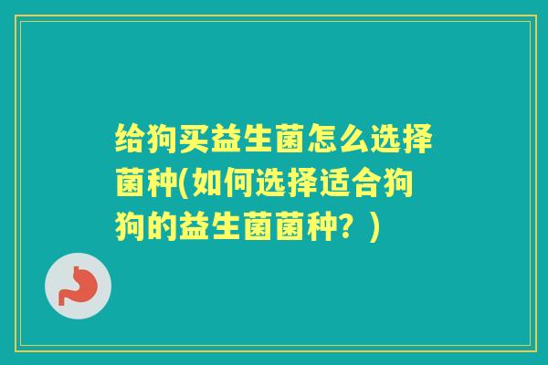 给狗买益生菌怎么选择菌种(如何选择适合狗狗的益生菌菌种？)