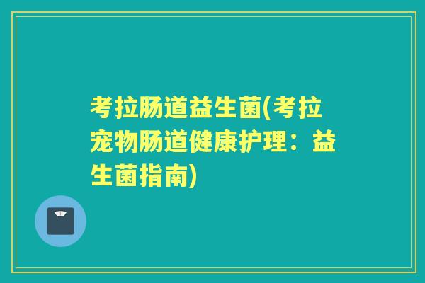 考拉肠道益生菌(考拉宠物肠道健康护理:益生菌指南) 考拉肠道益生菌(考拉宠物肠道健康护理:益生菌指南)
