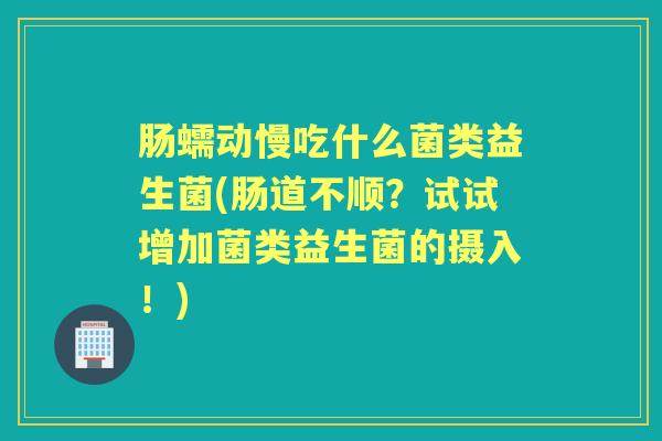 肠蠕动慢吃什么菌类益生菌(肠道不顺？试试增加菌类益生菌的摄入！)