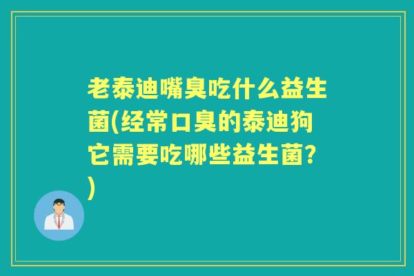 老泰迪嘴臭吃什么益生菌(经常的泰迪狗它需要吃哪些益生菌?) 老泰迪嘴臭吃什么益生菌(经常的泰迪狗它需要吃哪些益生菌?)