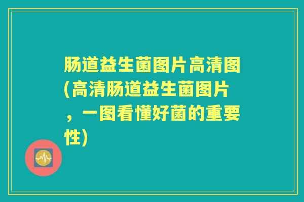 肠道益生菌图片高清图(高清肠道益生菌图片，一图看懂好菌的重要性)