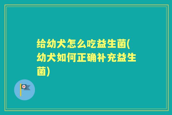 给幼犬怎么吃益生菌(幼犬如何正确补充益生菌) 给幼犬怎么吃益生菌(幼犬如何正确补充益生菌)