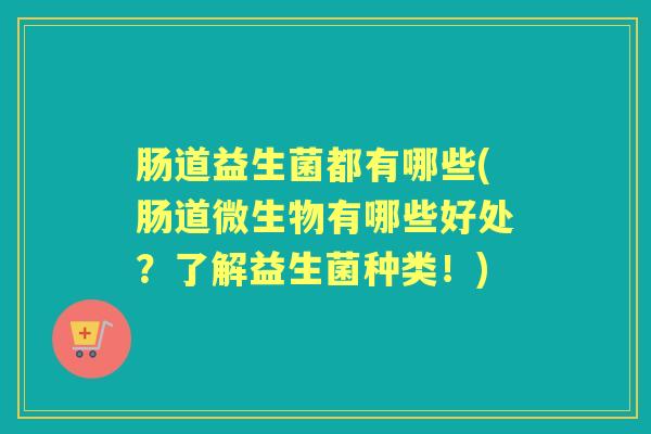 肠道益生菌都有哪些(肠道微生物有哪些好处？了解益生菌种类！)