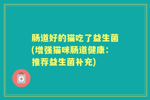 肠道好的猫吃了益生菌(增强猫咪肠道健康:推荐益生菌补充) 肠道好的猫吃了益生菌(增强猫咪肠道健康:推荐益生菌补充)