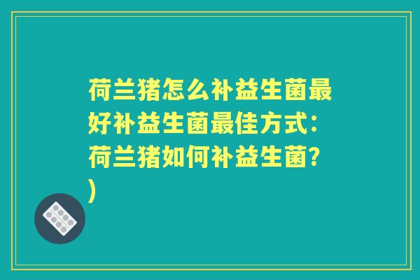 荷兰猪怎么补益生菌好补益生菌佳方式:荷兰猪如何补益生菌?) 荷兰猪怎么补益生菌好补益生菌佳方式:荷兰猪如何补益生菌?)