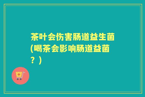 茶叶会伤害肠道益生菌(喝茶会影响肠道益菌?) 茶叶会伤害肠道益生菌(喝茶会影响肠道益菌?)