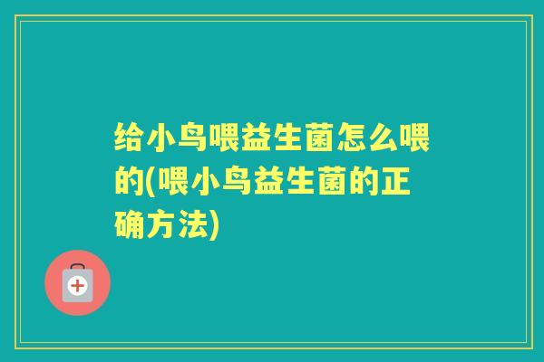 给小鸟喂益生菌怎么喂的(喂小鸟益生菌的正确方法)