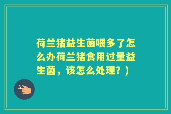 荷兰猪益生菌喂多了怎么办荷兰猪食用过量益生菌,该怎么处理?) 荷兰猪益生菌喂多了怎么办荷兰猪食用过量益生菌,该怎么处理?)