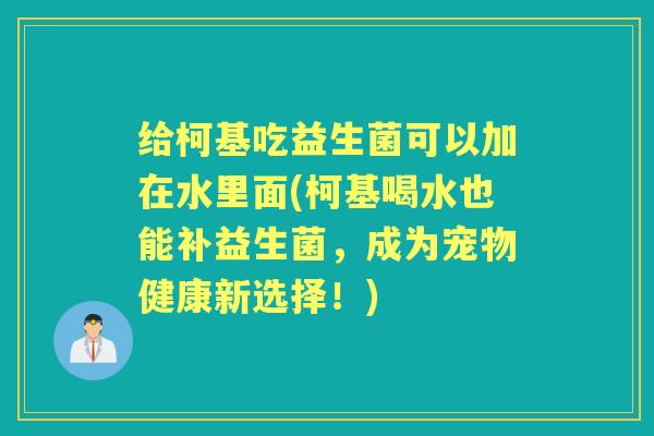 给柯基吃益生菌可以加在水里面(柯基喝水也能补益生菌,成为宠物健康新选择!) 给柯基吃益生菌可以加在水里面(柯基喝水也能补益生菌,成为宠物健康新选择!)