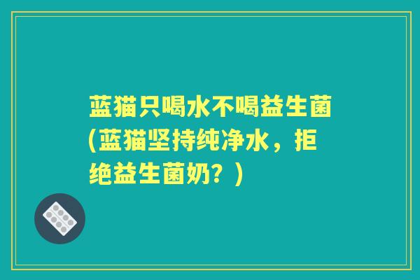 蓝猫只喝水不喝益生菌(蓝猫坚持纯净水,拒绝益生菌奶?) 蓝猫只喝水不喝益生菌(蓝猫坚持纯净水,拒绝益生菌奶?)