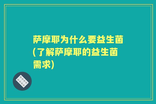 萨摩耶为什么要益生菌(了解萨摩耶的益生菌需求)