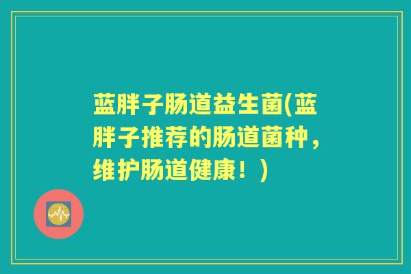 蓝胖子肠道益生菌(蓝胖子推荐的肠道菌种,维护肠道健康!) 蓝胖子肠道益生菌(蓝胖子推荐的肠道菌种,维护肠道健康!)