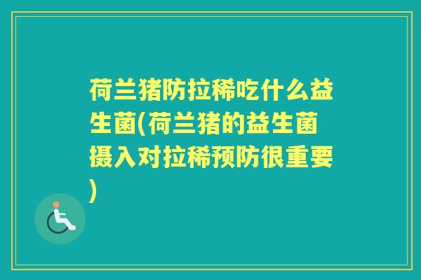 荷兰猪防拉稀吃什么益生菌(荷兰猪的益生菌摄入对拉稀很重要) 荷兰猪防拉稀吃什么益生菌(荷兰猪的益生菌摄入对拉稀很重要)