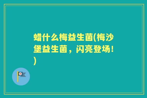 蜡什么梅益生菌(梅沙堡益生菌,闪亮登场!) 蜡什么梅益生菌(梅沙堡益生菌,闪亮登场!)