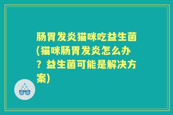 肠胃发炎猫咪吃益生菌(猫咪肠胃发炎怎么办？益生菌可能是解决方案)