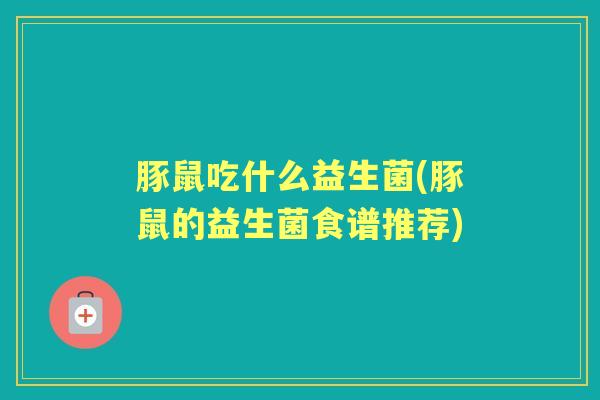 豚鼠吃什么益生菌(豚鼠的益生菌食谱推荐)