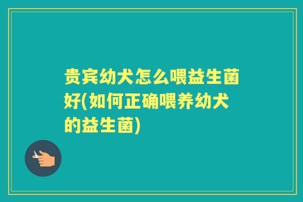 贵宾幼犬怎么喂益生菌好(如何正确喂养幼犬的益生菌)