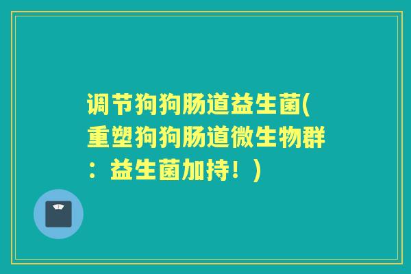 调节狗狗肠道益生菌(重塑狗狗肠道微生物群：益生菌加持！)