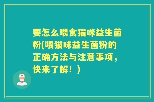 要怎么喂食猫咪益生菌粉(喂猫咪益生菌粉的正确方法与注意事项，快来了解！)